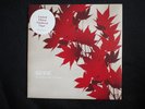 KEANE - SOMEWHERE ONLY WE KNOW - RARE LIMITED EDITION VINYL 7
