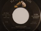 Classic Rockabilly ROY GAINES Skippy is a Sissy / Weeping Willow RCA EX