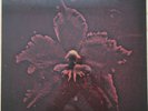 MACHINE HEAD The Burning Red LP Vinyl Neu OVP Catharsis, Metallica, Sepultura
