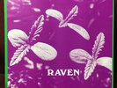 Psych LP Reissue - RAVEN - S/T - Rockadelic - Near Mint Record