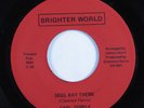 Crossover Soul Funk 45 CARL TEMPLE Soul Day Theme BRIGHTER WORLD VG+ HEAR