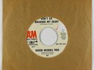 Psych Pop 45 - Roger Nichols Trio - Don't Go Breaking My Heart - A&M - VG++ mp3