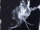 Sigur Ros Route One LP RSD18 Record Store Day