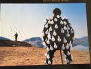 PINK FLOYD  Delicate Sound Of Thunder - 2LP  Vinyl