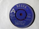 PETER COOK & DUDLEY MOORE -  THE L.S. BUMBLE BEE -  ( DEMO ) -  DECCA12551(1967)