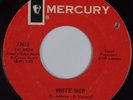 THE DENIMS: White Ship MERCURY ’66 Scarce Garage Psych 45 Hear
