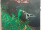 Equilibrio Vital Hard Prog-Psych Lp Rock Progresivo Venezuela /Tras del Sol Vg +