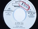 Popcorn Soul 45 SUNNY GALE A Little You RCA VICTOR HEAR
