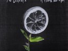 THE DISTRICTS - A FLOURISH AND A SPOIL  VINYL LP NEU