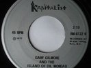 Chain Gang Son Of Sam Vinyl Single 7inch Kapitalist Records