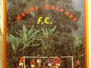 OS NOVOS BAIANOS F.C. BRAZIL PYSCH ROCK ORIG LP HEAR
