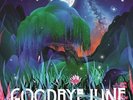 GOODBYE JUNE MAGIC VALLEY NEW VINYL RECORD