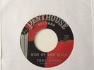 45 northern soul rare troy dodds rise up and walk on penthouse