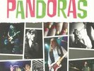 PANDORAS, The - Hey It's The Pandoras - Vinyl (heavyweight vinyl LP)
