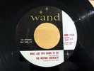 Garage THE MOVING SIDEWALKS What Are You Going To Do/99th Floor WAND 1156 ZZ Top