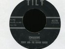 TEDDY AND THE ROUGH RIDERS Tomahawk on Tilt Instro Rockabilly 45 Hear