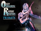 OZZY OSBOURNE RANDY RHOADS TRIBUTE 1987 VINYL LP PLAY TESTED-FREE SHIPPING
