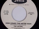 METERS: Here Comes the Meter Man / Cissy Strut JOSIE Promo Soul Funk 45 HEAR