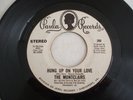 Northern Soul ( THE MONTCLAIRS ) on Paula - Hung Up On Your Love - Stereo/Mono