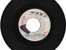 rare 1967 MUZIK CITY BLANK The Clarendonians 