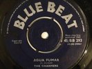 PRINCE BUSTER & CHARMERS - LONG WINTER - BLUE BEAT ( RARE SKA 7 )