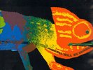 PROG-KRAUTROCK-LP- FRUMPY-ALL WILL BE CHANGED-PHILIPS-GERMANY-1970-TOPMINT