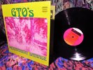 RARE 1969 STRAIGHT ORIG - THE G.T.O.'s GIRLS OUTRAGEOUSLY = DAMAGE - ZAPPA PSYCH