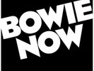 DAVID BOWIE - BOWIE NOW - 1 x 12