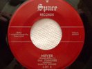 DUNDEES 45 Never / Evil one SPACE VG++ RARE  Doowop Kz249