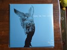 Sunny Day Real Estate - The Rising Tide 2xLP 1st Press GREEN VINYL emo indie