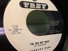 BARBARA DANE - I'M ON MY WAY. ORIGINAL US TREY DEMO. NORTHERN SOUL RARITY. M--