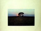 PAT METHENY BRIGHT SIZE LIFE ECM RECORDS JACO PASTORIOUS BOB MOSES NEAR MINT