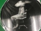 Kate Bush Running Up That Hill 2012 Vinyl Picture Disc New