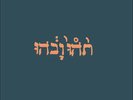 GODSPEED YOU BLACK EMPEROR SLOW RIOT FOR NEW ZERO NEW SEALED 12