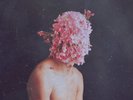 Lake People - Phase Transition