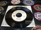 THE DYNELLS....CALL ON ME...ATCO RECORDS.. DJ....VG+ WITH SLEEVE.