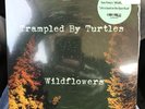 trampled by turtles wildflowers Tom Petty Cover 7” Record Store Day Vinyl