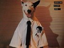 Rick Springfield Working Class Dog UK vinyl LP album record RCALP6014 RCA 1980