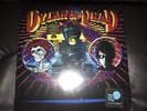 Dylan and the Grateful Dead RSD 2018 Bob Dylan Grateful Dead Record Store Day
