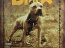 DMX - Grand Champ (2 x Vinyl LP Gatefold) Ruff Ryders Def Jam EXCELLEN CONDITION