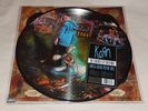 KORN the serenity of suffering 2016 LTD ED VINYL PICTURE DISC LP slipknot NEW