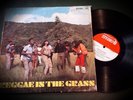 Reggae in the Grass/ Studio One LP