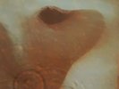 Vinyle 33 tours, Pink Floyd, Meddle 1971