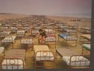 DISQUE VINYL 33T PINK FLOYD A MOMENTARY LAPSE OF REASON
