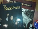 The Black Crowes 