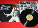 Elvis 