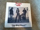 PARTNERS IN CRIME No Big Deal 12 in Vinyl LP EP Mutha SEALED HARDCORE Punk