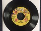 Velvet Hammer - Happy - northern soul