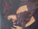 TORI AMOS 