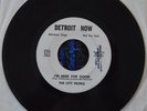 RARE DETROIT NOW   GARAGE 45 RPM  THE CITY PEOPLE , I'M HERE FOR GOOD PROMO REC.